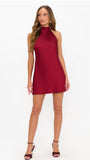 Show Me Your Mumu Lisa Mini Dress in Cranberry