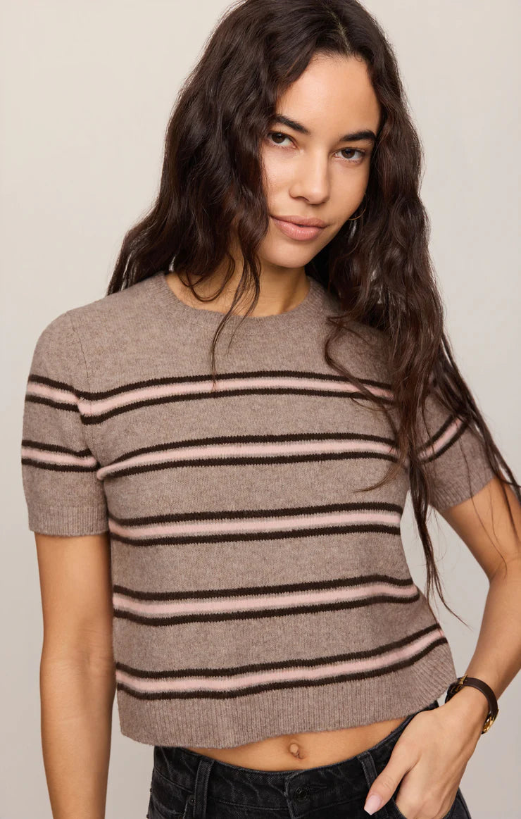 Z Supply Gatewood Stripe Sweater - Taupe