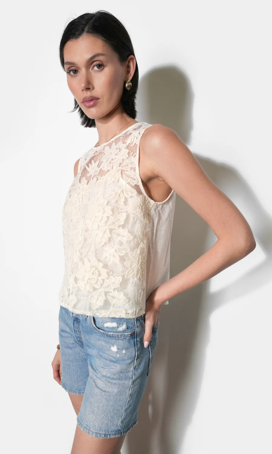 Greylin Alice Sheer Embroidered Top
